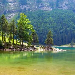 Meet your Posher, Asia